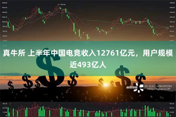 真牛所 上半年中国电竞收入12761亿元，用户规模近493亿人